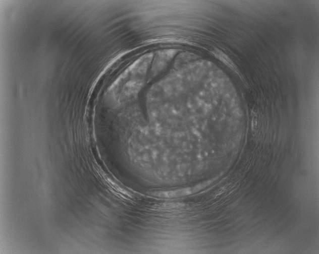 X0000051241068200507082118