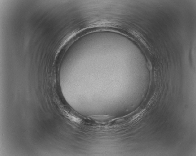 X0000051241069200507082118