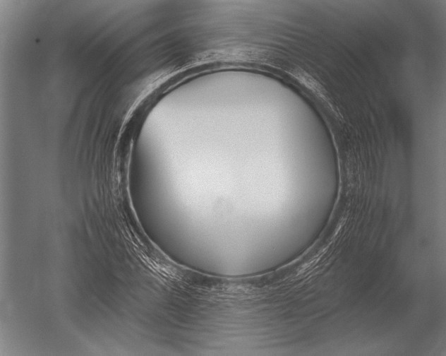 X0000051241070200507082118