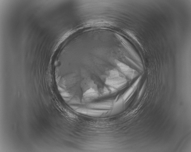 X0000051241071200507082118