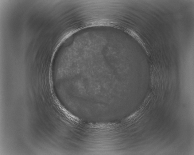 X0000051241072200507082118