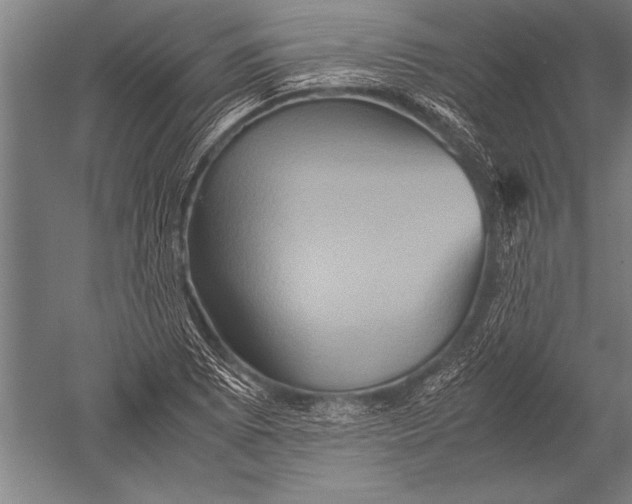 X0000051241073200507082118