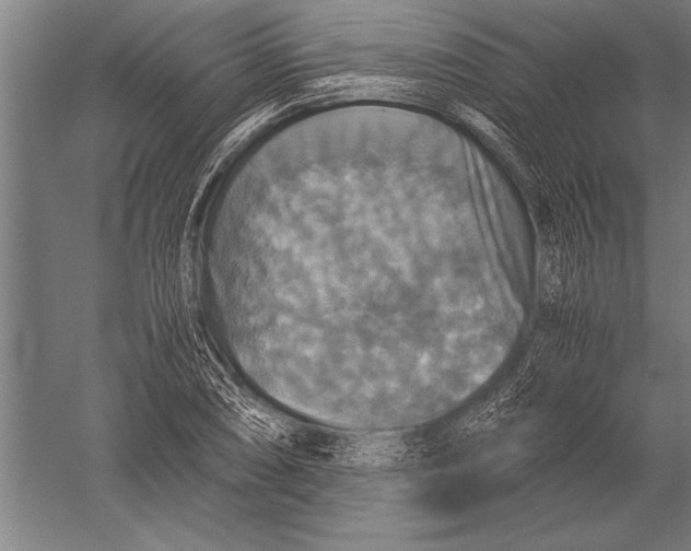 X0000051241074200507082118