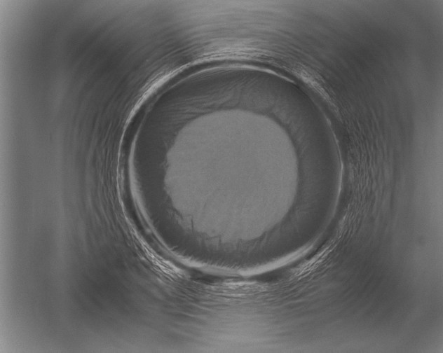 X0000051241077200507082118