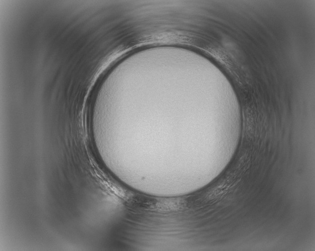 X0000051241078200507082118