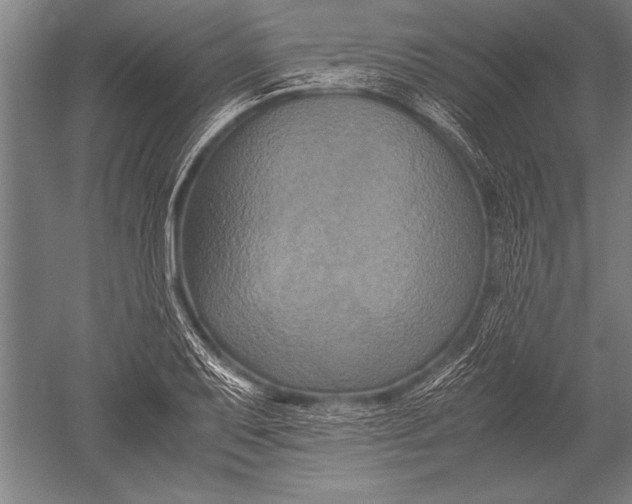 X0000051241079200507082118