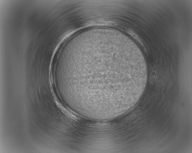 X0000051241080200507082118