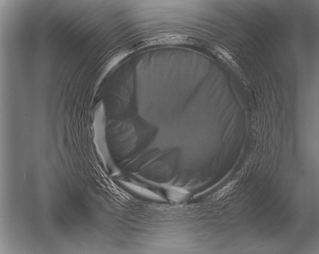 X0000051241081200507082118