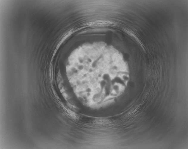 X0000051241083200507082118