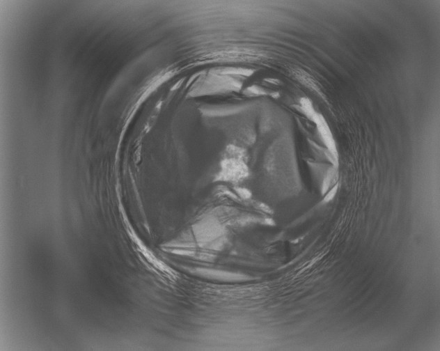 X0000051241087200507082118