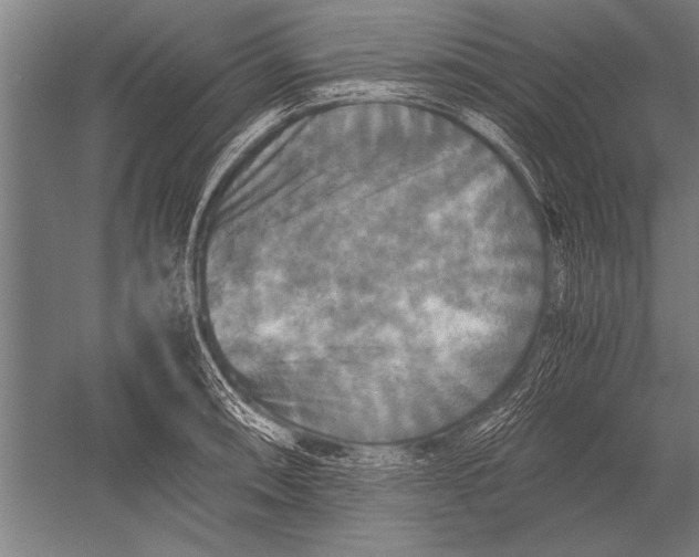 X0000051241090200507082118