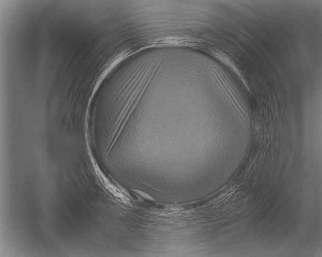 X0000051241091200507082118