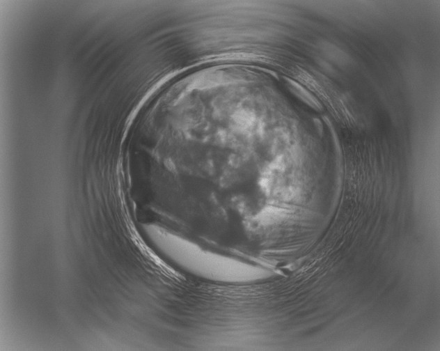 X0000051241092200507082118