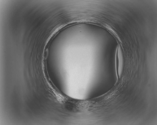 X0000051241093200507082118