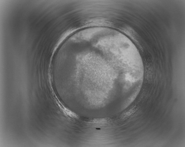 X0000051241094200507082118