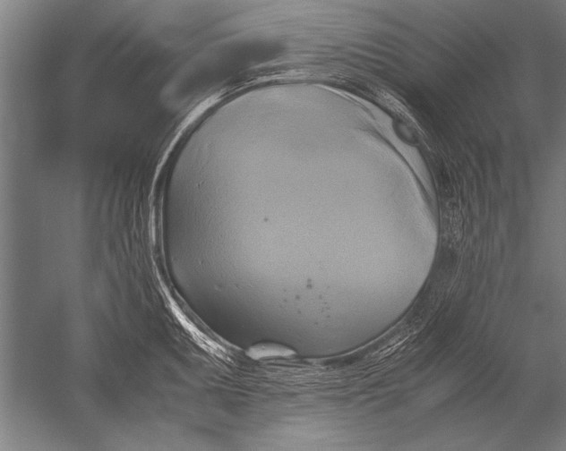 X0000051241095200507082118