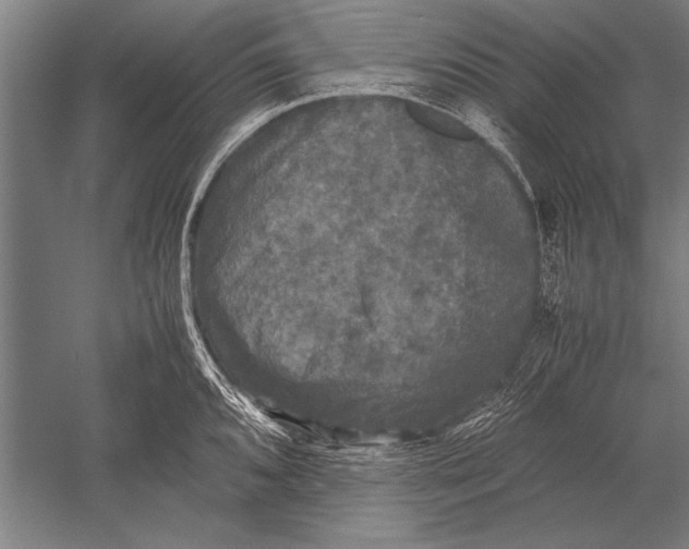 X0000051241096200507082118