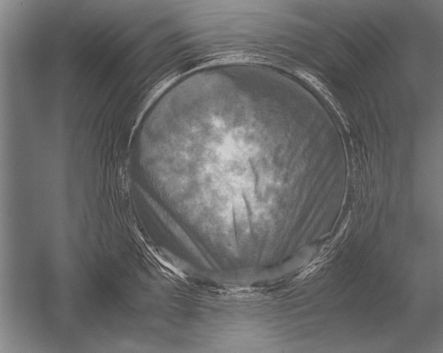 X0000051241097200507082118