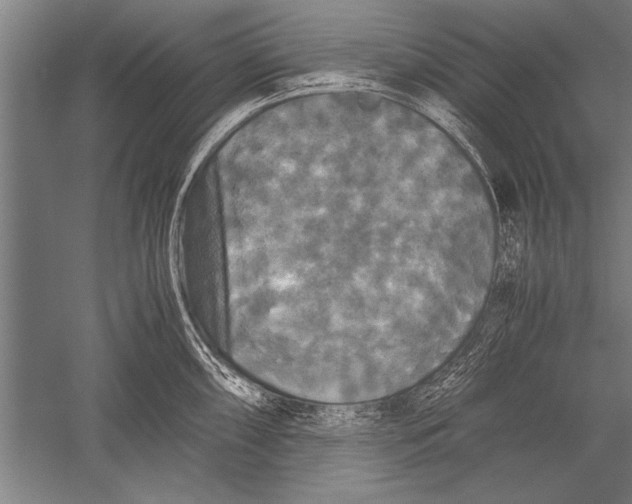 X0000051241098200507082117