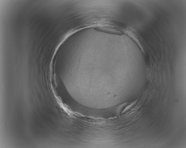 X0000051241099200507082117