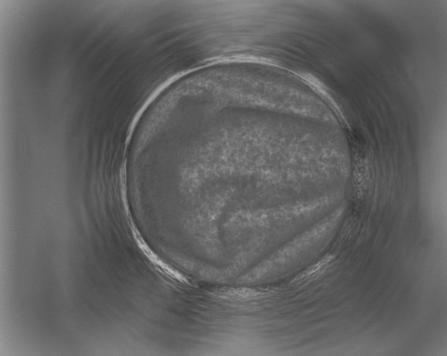 X0000051241100200507082117