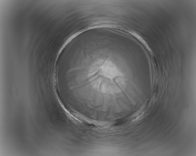 X0000051241101200507082117