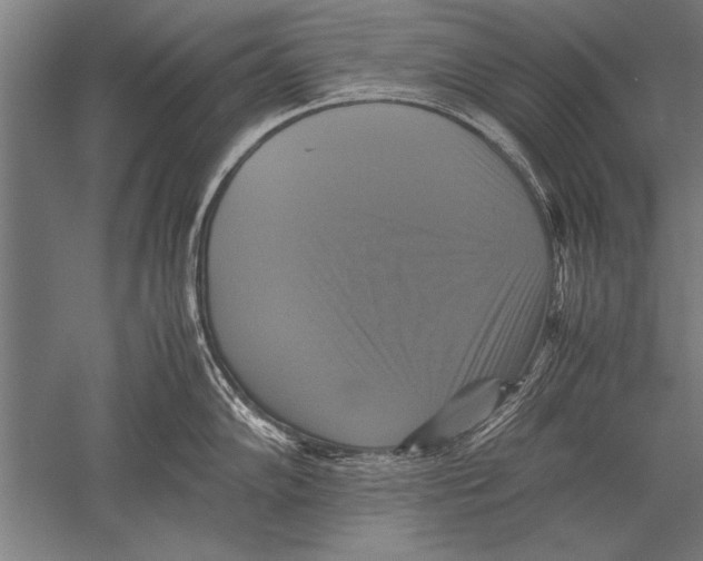 X0000051241102200507082117