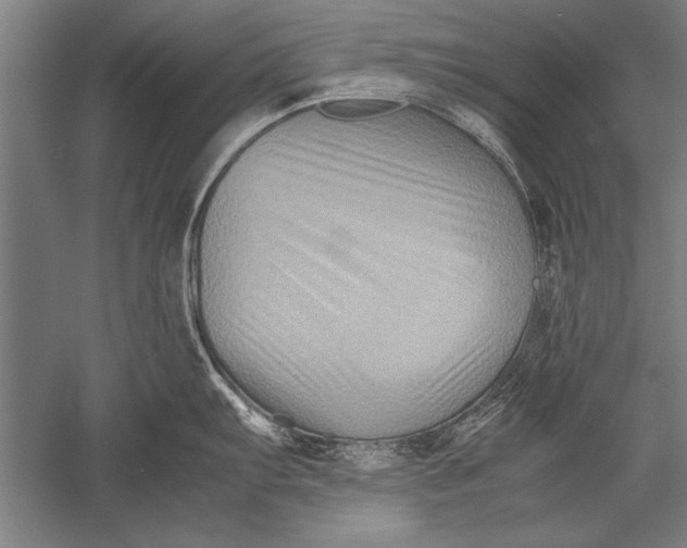 X0000051241103200507082117