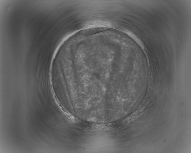 X0000051241104200507082117