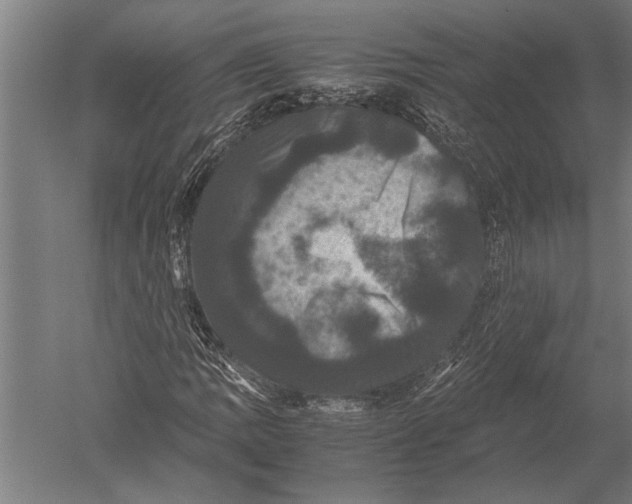 X0000051241109200507082117