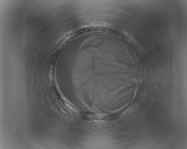 X0000051241110200507082117