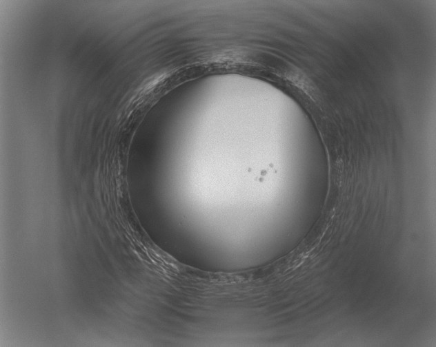 X0000051241111200507082117