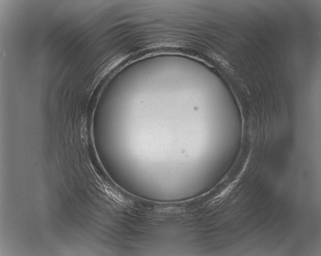 X0000051241113200507082117