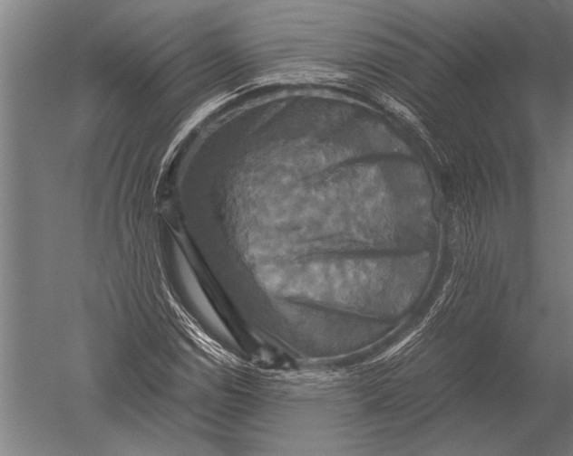 X0000051241114200507082117