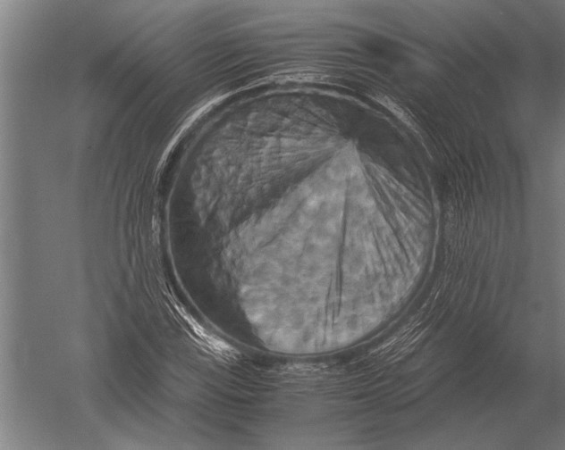 X0000051241115200507082117