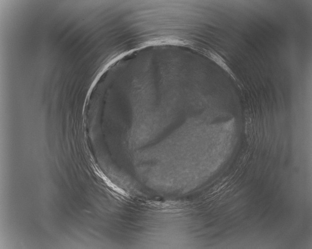 X0000051241116200507082117