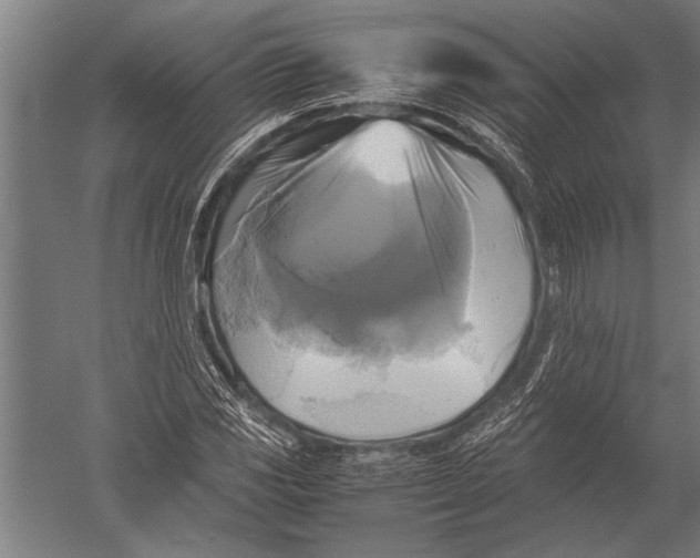 X0000051241117200507082117