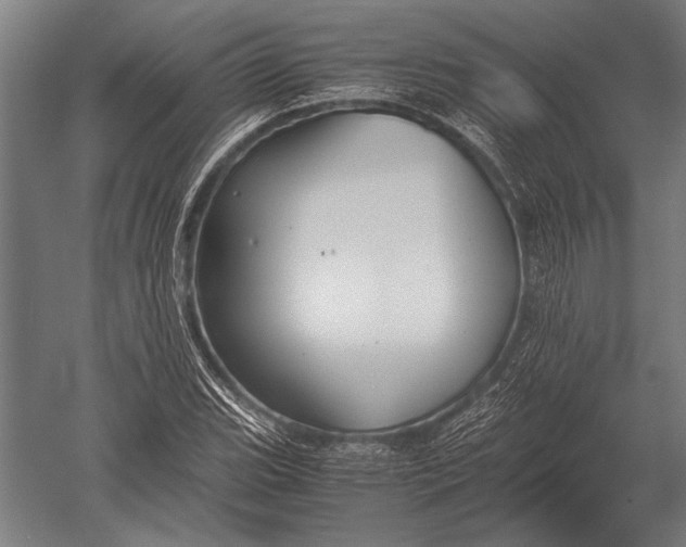 X0000051241119200507082117