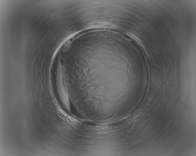 X0000051241120200507082117