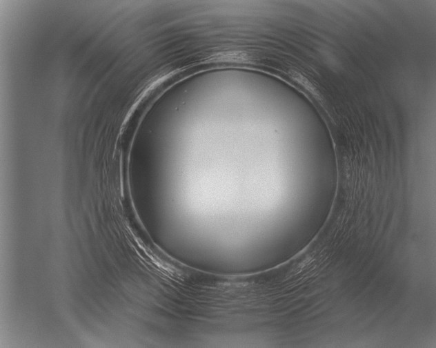 X0000051241123200507082117