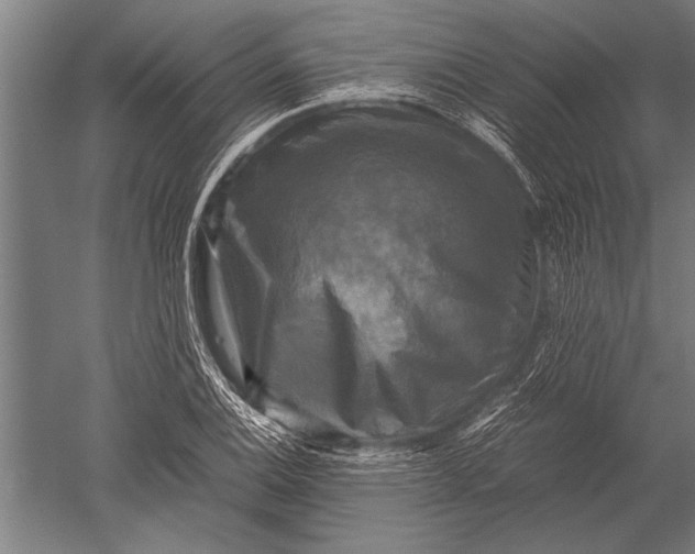 X0000051241124200507082117