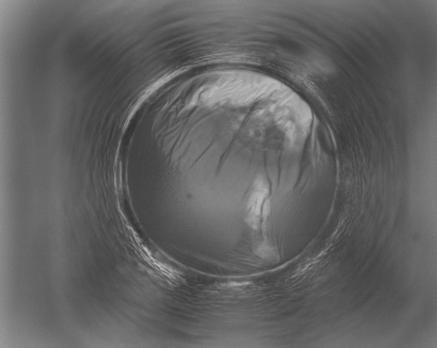 X0000051241125200507082117