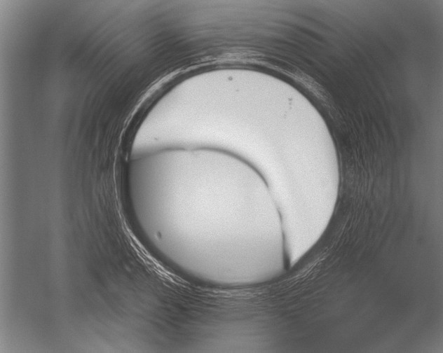 X0000051241126200507082117