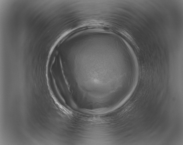 X0000051241128200507082117