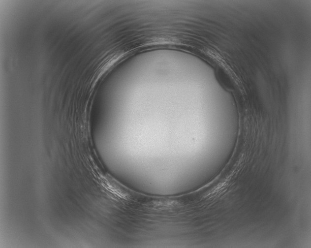 X0000051241129200507082117