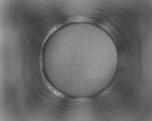 X0000051241130200507082117