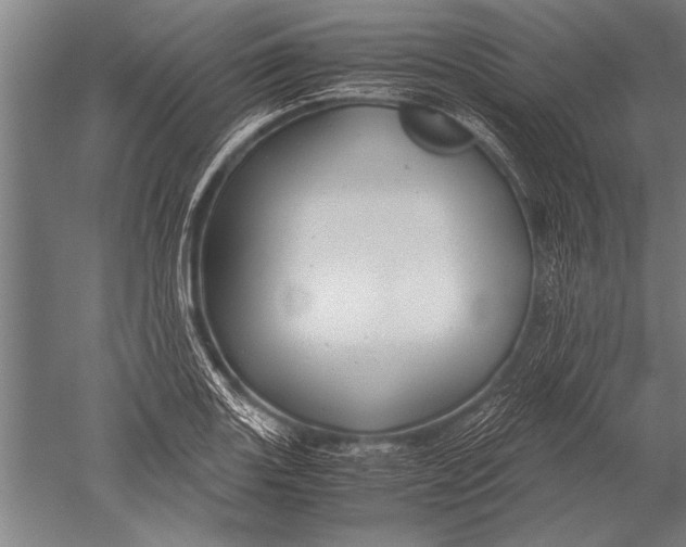 X0000051241131200507082117