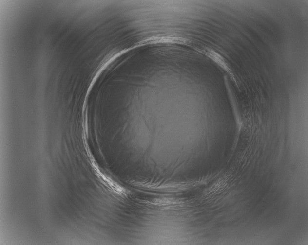 X0000051241132200507082117