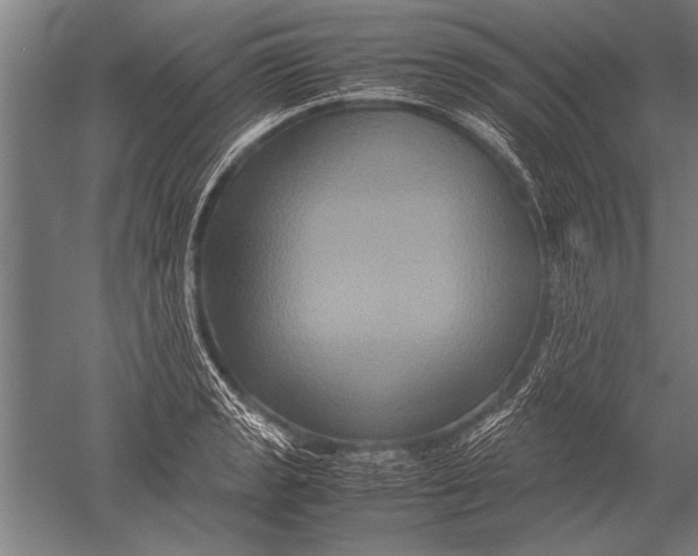 X0000051241133200507082117