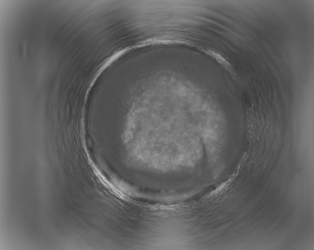 X0000051241134200507082117